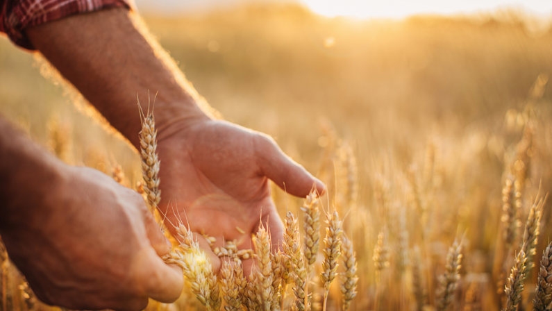 Estas son las reducciones en el IRPF 2024 para agricultores y ganaderos en módulos